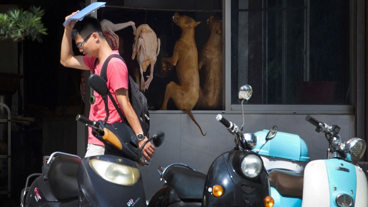 نمایشگاه سالانه گوشت سگ در چین برغم نگرانی‌ فعالان حقوق حیوانات افتتاح شد 