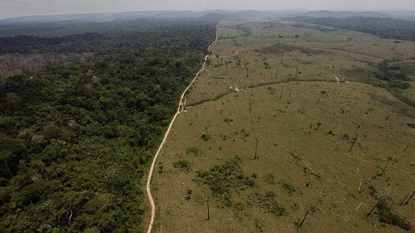 Brasil bate recorde de exportações no agronegócio Brasil bate recorde de exportações no agronegócio