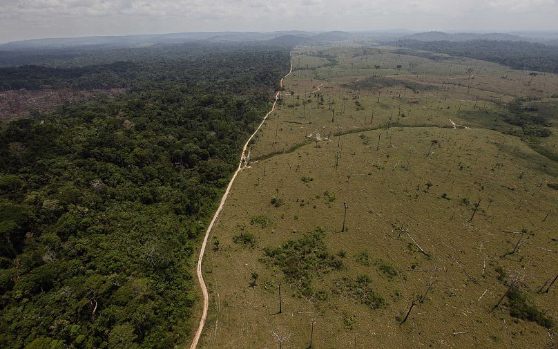 Cette photo d'archive du 15 septembre 2009 montre une zone déboisée près de Novo Progresso, dans l'État du Para, au nord du Brésil.