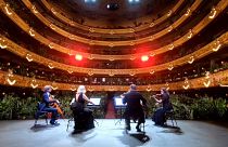 A Barcelone, un concert à la chlorophylle