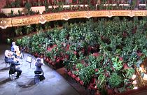 Barcelona'da El Liceu operasının ilk konseri bitkilere verildi