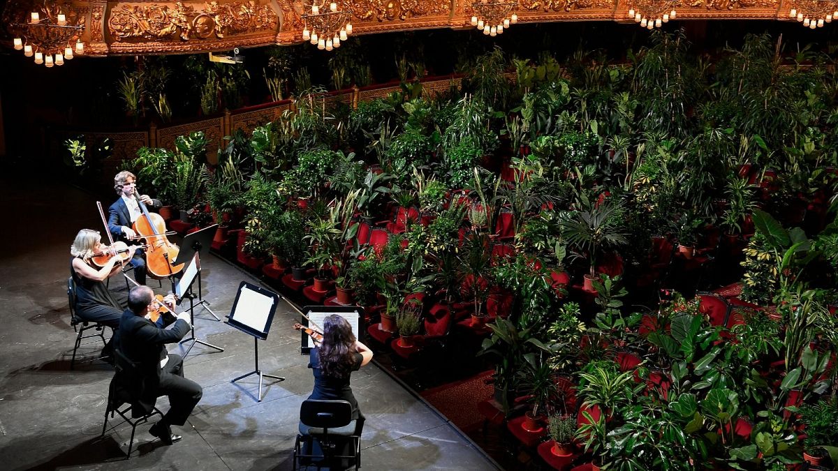 Barcelona opera house opens with concert exclusively for plants 