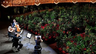 Barcelona opera house opens with concert exclusively for plants