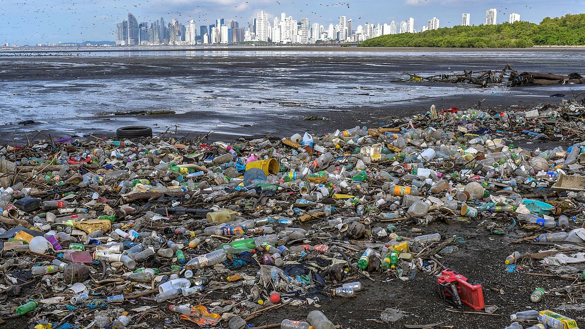 Garbage, including plastic waste, is seen on the beach of the Costa del Este neighbourhood in Panama City, Panama 