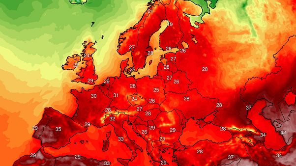 Temperaturas máximas durante la semana (media) Temperaturas máximas durante la semana (media)