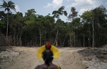 Investidores europeus criticam Brasil por desflorestação amazónica