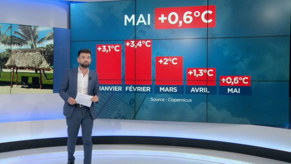 Vague de chaleur : l'année 2020 va-t-elle battre de nouveaux records ?