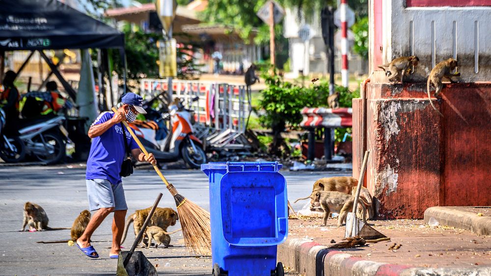 Thaïlande : envahie par les macaques,