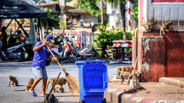 Un homme nettoyant un rond-point, l'un des principaux points de rassemblement des macaques à Lopburi, le 20 juin 2020 Un homme nettoyant un rond-point, l'un des principaux points de rassemblement des macaques à Lopburi, le 20 juin 2020