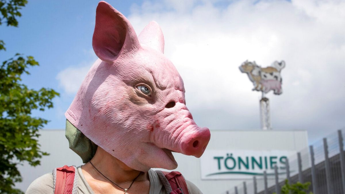 Animal rights activists protest in front of the Toennies meatpacking plant and slaughterhouse in Rheda-Wiedenbrueck, Germany, Saturday, June 20, 2020.