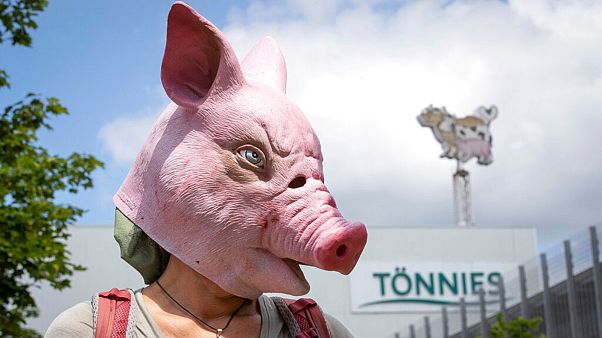 Animal rights activists protest in front of the Toennies meatpacking plant and slaughterhouse in Rheda-Wiedenbrueck, Germany, Saturday, June 20, 2020. Animal rights activists protest in front of the Toennies meatpacking plant and slaughterhouse in Rheda-Wiedenbrueck, Germany, Saturday, June 20, 2020.