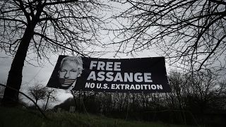 Unterstützungsbanner für Assange