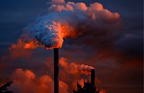 Environmental damage could be criminalised