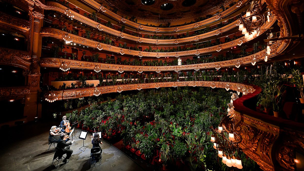 The Uceli Quartet perform Puccini’s Crisantemi for more than 2000 plants in Gran Teatre del Liceu (Barcelona opera house) when it reopened after 3 months closure