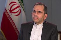 مجید تخت روانچی، سفیر ایران در سازمان ملل متحد