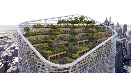Stunning 'hybrid timber' tower will be the tallest in the world
