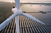 Güneş ışığı, rüzgâr ve sudan yararlanmak: İklim verileri, yeşil enerji sektörünü destekleyebilir mi?