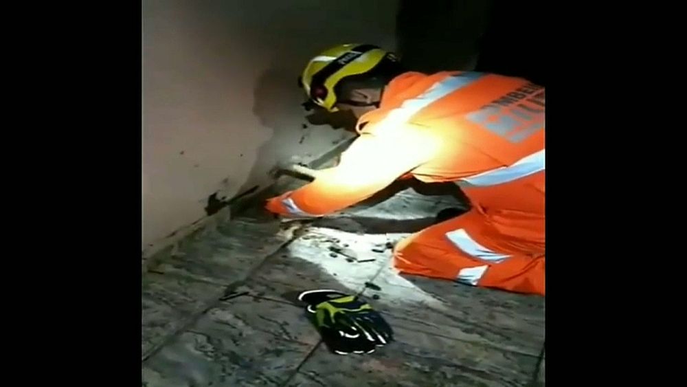 Au Brésil, sauvetage délicat d'un chiot coincé sous le plancher