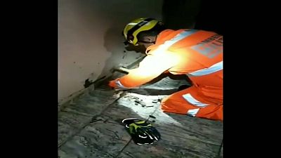 شاهد: عملية إنقاذ كلبة مفقودة علقت تحت أرضية منزل في البرازيل