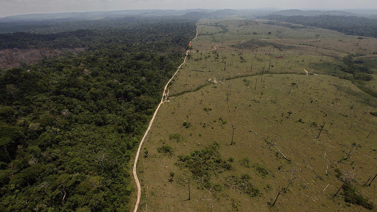 منطقة خالية من الغابات بالقرب من نوفو بروجريسو في ولاية بارا شمال البرازيل