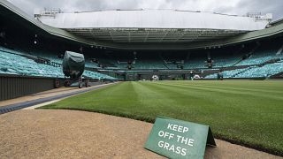 Le gazon de Wimbledon déserté : une première depuis 1945