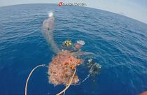 İtalya'da 10 metre uzunluğundaki balina takıldığı balık ağından kurtarıldı