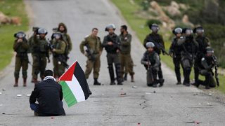 Filistin bayrağı ile ABD Başkanı Donald Trump'ın 'Ortadoğu Barış Planı'na karşı çıkan bir Filistinli eylemci ve İsrail askerleri / Ürdün Vadisi