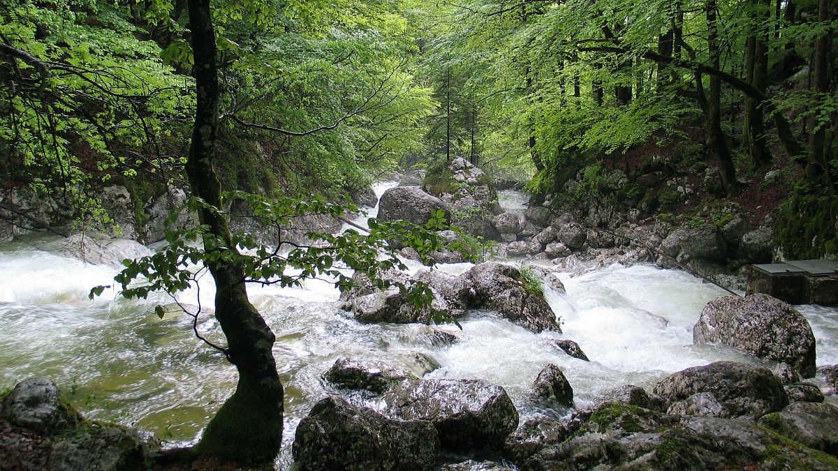 Der größte und wichtigste Fluss Sloweniens und Kroatiens