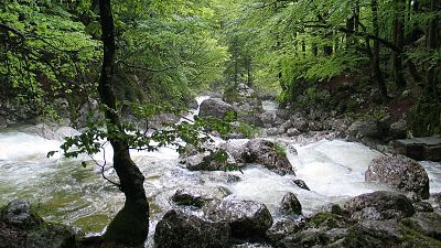 Slovenia, ambientalisti in difesa del fiume Sava