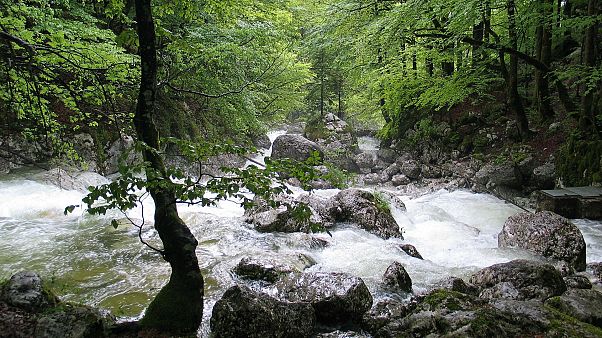 Der größte und wichtigste Fluss Sloweniens und Kroatiens Der größte und wichtigste Fluss Sloweniens und Kroatiens