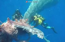 Спасение кита итальянской береговой охраной