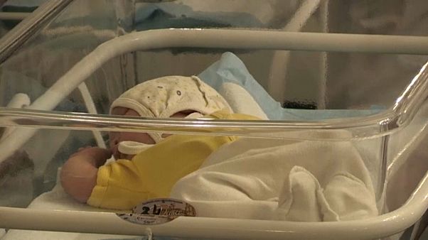 Малыши ждут своих биологи Малыши ждут своих биологи