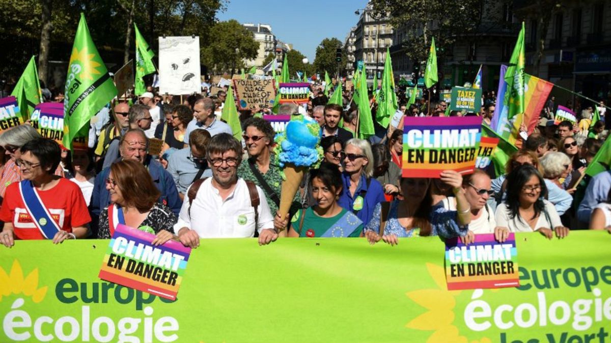 Fransa'da Yeşiller Partisi'nin yürüyüşü