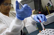 Αναφορές για νέο ιό της γρίπης σε χοίρους στην Κίνα - Μπορεί να προκαλέσει πανδημία; - Τι λέει ο ΠΟΥ