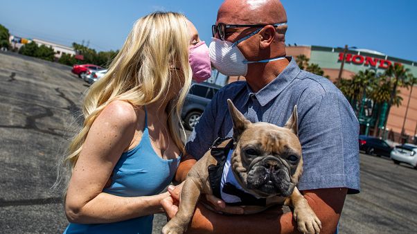ABD'li çift ve köpekleri ABD'li çift ve köpekleri