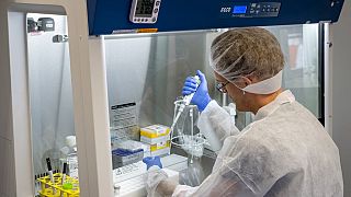 An employee of Centogene is working on samples in a laboratory container at the airport in Frankfurt, Germany, June 29, 2020.