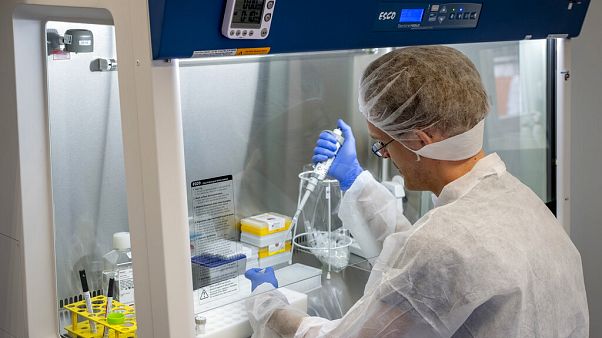 An employee of Centogene is working on samples in a laboratory container at the airport in Frankfurt, Germany, June 29, 2020. An employee of Centogene is working on samples in a laboratory container at the airport in Frankfurt, Germany, June 29, 2020.
