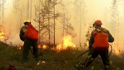 Forest fires burn out of control in Russia's Arctic region