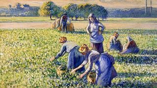 Pissarro: La cueillette des pois (Az aratás) - részlet