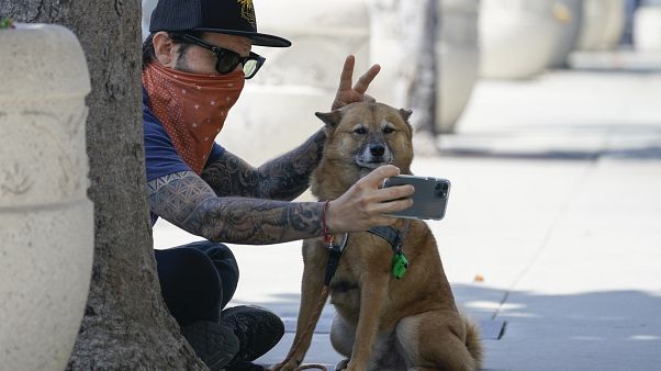 Araştırma: Köpeklerin 1 yılı insanların 7 yılına denk değil, köpekler daha hızlı olgunlaşıyor Araştırma: Köpeklerin 1 yılı insanların 7 yılına denk değil, köpekler daha hızlı olgunlaşıyor