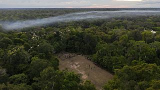 Amazónia enfrenta ameaça da desflorestação