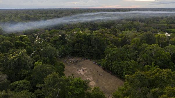 Amazónia enfrenta ameaça da desflorestação Amazónia enfrenta ameaça da desflorestação