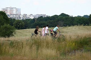 Frankfurt's green rooftops and urban airways aim to keep the city cool