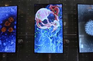 Nobel Prize museum reopens with exhibition about pandemics