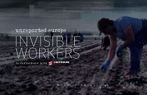 کارگران نامرئی در مزارع اروپا؛ حقوق کم، استثمار و در معرض خطر سلامت