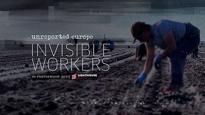 Láthatatlan munkások Európa farmjain: alulfizetettek és kizsákmányolják őket