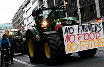PAC: a Política Agrícola Comum, mas pouco consensual da UE