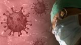 So far, no coronavirus vaccine has ever been developed.