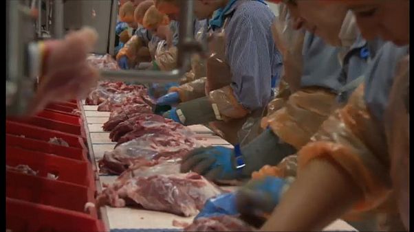 Három ausztriai vágóhíd tizenkét alkalmazottja lett koronavírus-fertőzött Három ausztriai vágóhíd tizenkét alkalmazottja lett koronavírus-fertőzött
