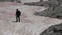 Cientistas investigam gelo cor-de-rosa nos Alpes